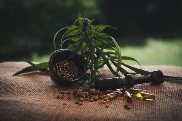 Pâte de CBD